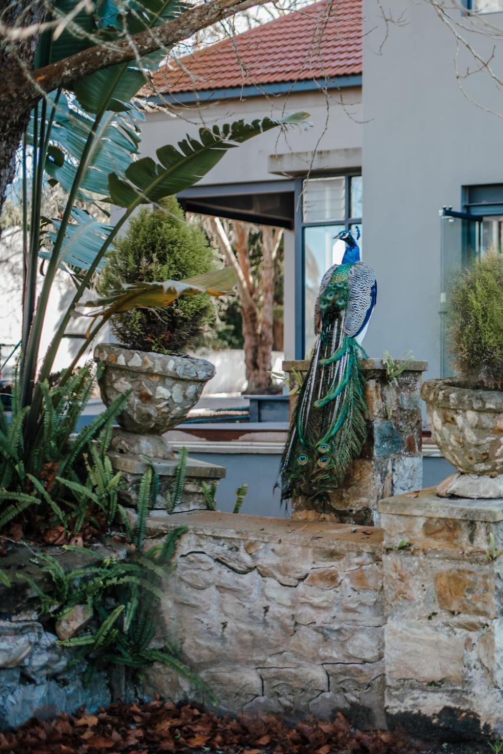 The Hawthorn Boutique Hotel George Bagian luar foto